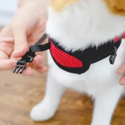 Ferplast Harness For Jogging -Pet Supplies-Cats Shop 8 0190016324 1800x1800 63ac0cd79c121 g