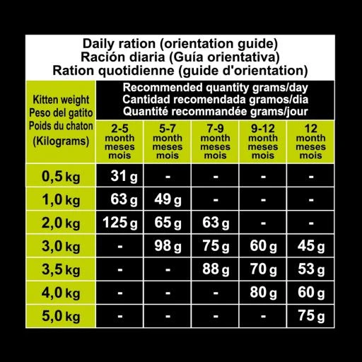 Arquivet Cat Kitten Turkey 10 Arquivet Cat Kitten Turkey - Image 8