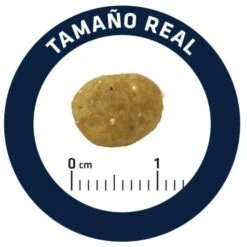 Advance Pienso Gastroenteric Sensitive Para Gato -Pet Supplies-Cats Shop 85801 5 5 g