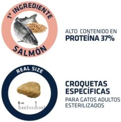 Advance Sterilized Sensitive Salmon And Barley -Pet Supplies-Cats Shop 85803 4 4 g