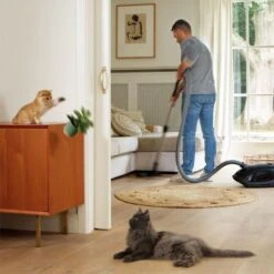 Beaphar CatComfort Excellence Diffuser And Refill Pack Cats -Pet Supplies-Cats Shop 8711231121069 7 64a6b393e543c g