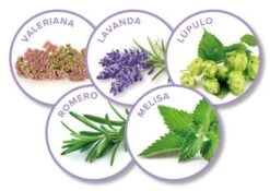 Beaphar No Stress Pack Diffuser And Recharge For Cats -Pet Supplies-Cats Shop 8711231148974 2 g