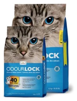 Intersand Clumping Cat Litter Odourlock 9 Intersand Clumping Cat Litter Odourlock -Pet Supplies-Cats Shop 93019 0777979211064 5 5 3 g