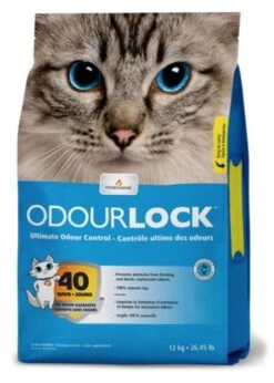 Intersand Clumping Cat Litter Odourlock