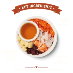 Lily's Kitchen Fisherman's Feast Dry Food -Pet Supplies-Cats Shop BCDFF 2 62d1855a3018f g