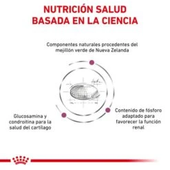 Royal Canin Mobility -Pet Supplies-Cats Shop BENEFICIOS 1 62fce5ad5310f g