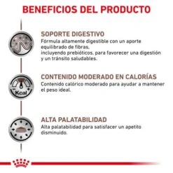 Royal Canin Gastro Intestinal Moderate Calorie Feline -Pet Supplies-Cats Shop BENEFICIOS 62fce20d92b10 g