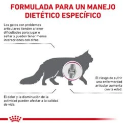 Royal Canin Mobility -Pet Supplies-Cats Shop BENEFICIOS 62fce5afc7622 g