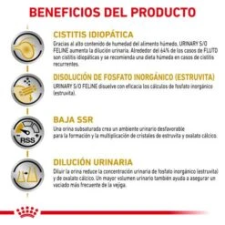 Royal Canin Vhn Urinary Urinary S/O Pate Wet Food -Pet Supplies-Cats Shop BENEFICOIS 1 62fce5135341e g