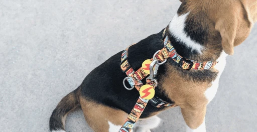 Dashi Harness With Leash Boom For Cats 4 Dashi Harness With Leash Boom For Cats - Image 2