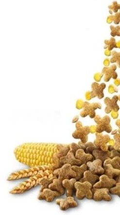 Brekkies Excel Complet -Pet Supplies-Cats Shop Brekkies gato adulto Complet croqueta 6446d28e2f8c1 g