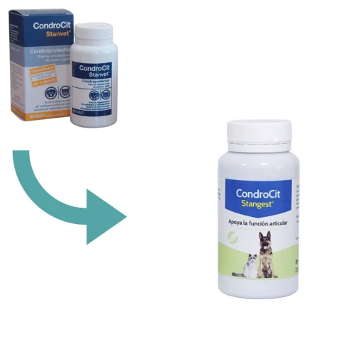 Stangest Condrocit 60 Compr. 3 Stangest Condrocit 60 Compr.