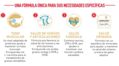 Royal Canin British Shorthair -Pet Supplies-Cats Shop FBN Adult BritishShorth desk ES mod5 6303514c991cc g