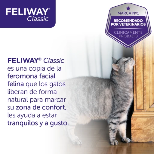 Feliway Diffuser Classic Spare 12 Feliway Diffuser Classic Spare - Image 10