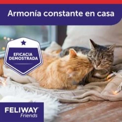 Feliway Friends Refill 18 Feliway Friends Refill -Pet Supplies-Cats Shop FELIWAY Friends refill Carousel 6 645cc27128431 g