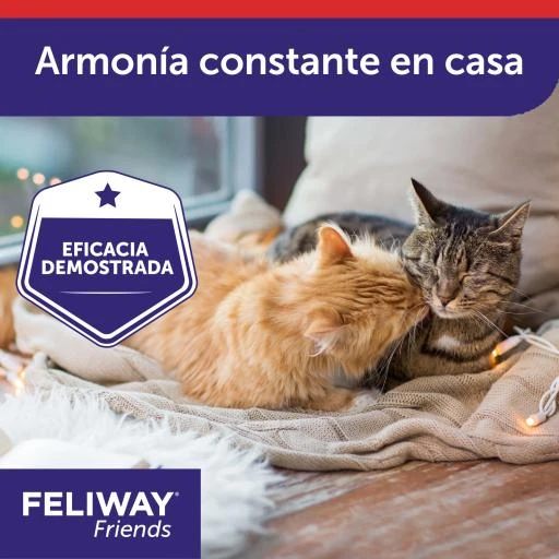 Feliway Friends Refill 9 Feliway Friends Refill - Image 7