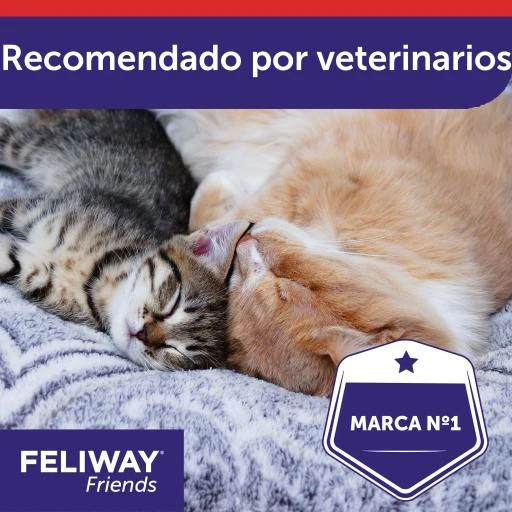 Feliway Friends Refill 10 Feliway Friends Refill - Image 8