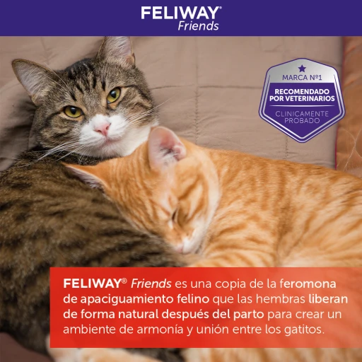 Feliway Friends Refill 11 Feliway Friends Refill - Image 9