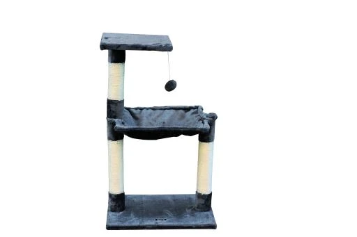 Gloria Pets Rider And Gray Games Center - Sena Gray 3 Gloria Pets Rider And Gray Games Center - Sena Gray