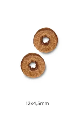 Pet Supplies-Cats Shop -Pet Supplies-Cats Shop Gatos de Salmon y Arroz2 636ca8567a4a9 g