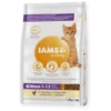 IAMS Proactive Health Kitten Chicken -Pet Supplies-Cats Shop IAMS Proactive Health Kitten Pollo 64380fee1a293 g