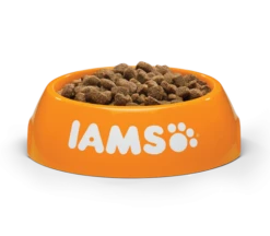 IAMS Light Sterilized/Overweight -Pet Supplies-Cats Shop IAMS Vitality Cat Light In Fat Bowl Angle 490544 63049996dd12e g