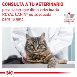 Royal Canin Gastro Intestinal Moderate Calorie Feline -Pet Supplies-Cats Shop INFO 62fce21083f0d g