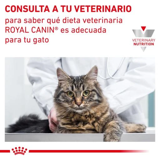 Royal Canin Renal Paté 7 Royal Canin Renal Paté - Image 5
