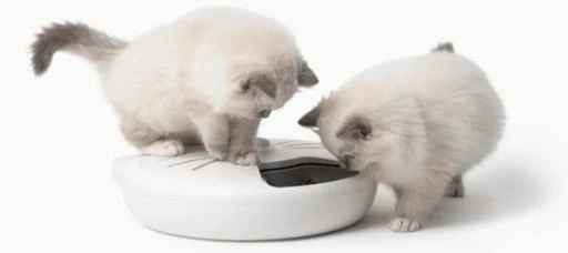 Catit Pixi Smart Feeder 6 Rations 13 Catit Pixi Smart Feeder 6 Rations - Image 11