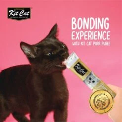 Kit Cat PurrPuree ValuePack Tuna And Fiber -Pet Supplies-Cats Shop KitCatPurrPureeSnackHidratante1 67117ade cd22 4d33 be9d 15b5975b0fc4 1024x1024@2x g