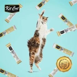Kit Cat PurrPuree ValuePack Chicken And Salmon -Pet Supplies-Cats Shop KitCatPurrPureeSnackHidratante2 f8fcbc9f 3af9 435a b08d b903bcd8bcd3 1024x1024@2x g