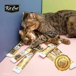 Kit Cat PurrPuree ValuePack Chicken And Salmon -Pet Supplies-Cats Shop KitCatPurrPureeSnackHidratante3 389f4456 35f2 4c9d adfd 5d7ab58d6722 1024x1024@2x g