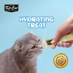 Kit Cat PurrPuree ValuePack Chicken And Salmon -Pet Supplies-Cats Shop KitCatPurrPureeSnackHidratante 819fca24 0100 47a9 94fe 8ae1c40c4f09 1024x1024@2x g