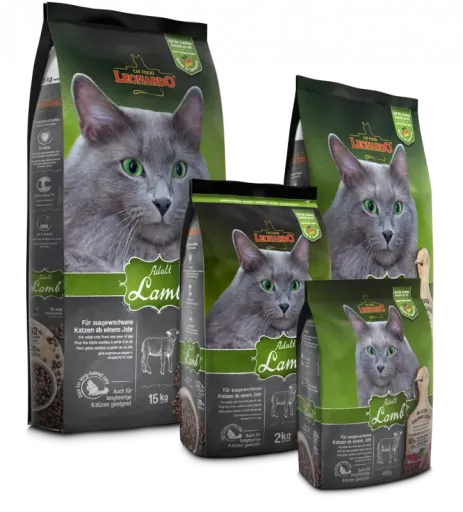 Leonardo Adult Lamb 5 Leonardo Adult Lamb - Image 3