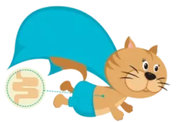 VetNova Multiva 45 Hairball Chews -Pet Supplies-Cats Shop MULTIVA Hairball 636df0c0b475b g