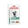 Royal Canin Comida Húmeda Diabetic Para Gato -Pet Supplies-Cats Shop PACKSHOT 1 62fce7b9d4836 g