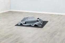 Trixie Adventure Car Intelligence Toy -Pet Supplies-Cats Shop PHO PRO 45890 1 g