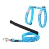Red Dingo Petral/Style Blue Correa -Pet Supplies-Cats Shop PT03040SWA 637de6d1add7e g