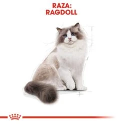 Royal Canin Pienso Ragdoll Adulte Para Gatos 12 Royal Canin Pienso Ragdoll Adulte Para Gatos -Pet Supplies-Cats Shop RC FBN Ragdoll CV Eretailkit 1 es ES 62dfcfad9615c g