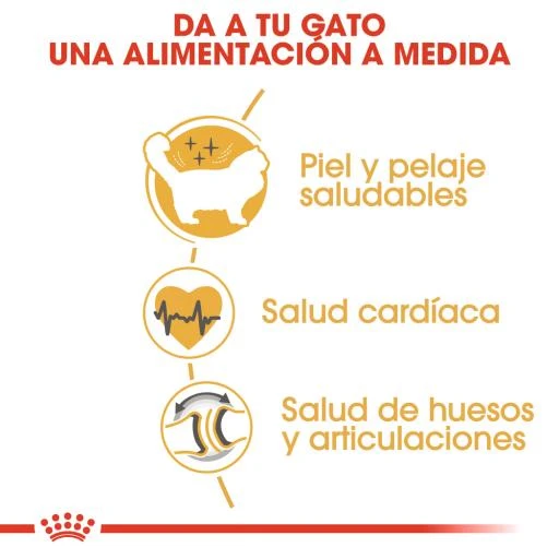 Royal Canin Pienso Ragdoll Adulte Para Gatos 7 Royal Canin Pienso Ragdoll Adulte Para Gatos - Image 5