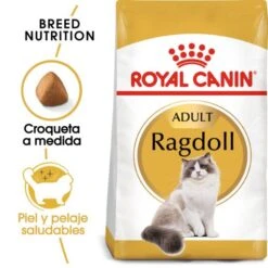 Royal Canin Pienso Ragdoll Adulte Para Gatos