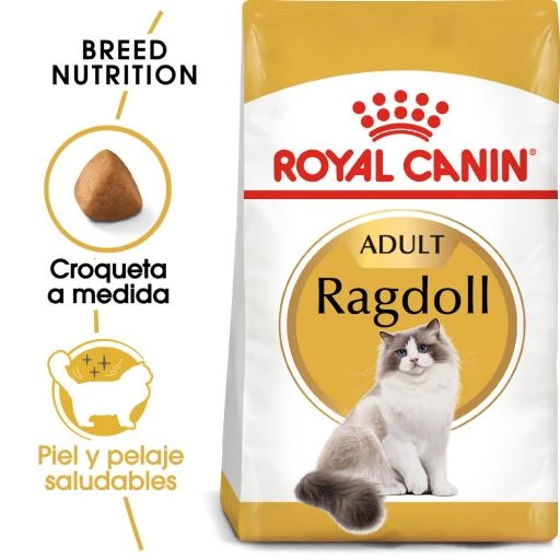 Royal Canin Pienso Ragdoll Adulte Para Gatos 3 Royal Canin Pienso Ragdoll Adulte Para Gatos