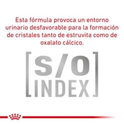 Royal Canin Cat Veterinary Diet Feed Anallergenic AN24 -Pet Supplies-Cats Shop RC VET DRY CatAna CV Eretailkit 10 es ES 62fcdfd34860e g