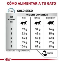 Royal Canin Cat Veterinary Diet Feed Anallergenic AN24 -Pet Supplies-Cats Shop RC VET DRY CatAna CV Eretailkit 5 es ES 62fcdfcdd5e4c g