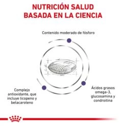 Royal Canin Senior Consult Stage 1 -Pet Supplies-Cats Shop RC VET DRY CatMatCons CV 3 es ES 62fce28df1325 g