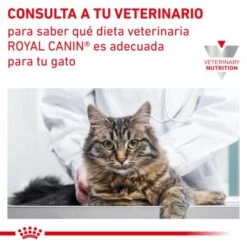 Royal Canin Neutered Satiety Balance -Pet Supplies-Cats Shop RC VET DRY CatNeutSatBal CV 9 es ES 62fce304422d8 g