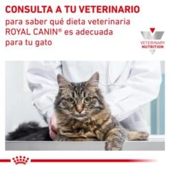 Royal Canin Satiety Support Feline -Pet Supplies-Cats Shop RC VET DRY CatSatietyWM CV Eretailkit 9 es ES 62fce7997a20d g