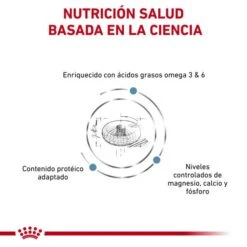 Royal Canin Skin & Coat -Pet Supplies-Cats Shop RC VET DRY CatSkinCoat CV Eretailkit 2 es ES 62fce05164ce8 g