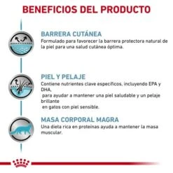Royal Canin Skin & Coat -Pet Supplies-Cats Shop RC VET DRY CatSkinCoat CV Eretailkit 3 es ES 62fce0529e162 g