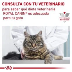 Royal Canin Skin & Coat -Pet Supplies-Cats Shop RC VET DRY CatSkinCoat CV Eretailkit 8 es ES 62fce058bedb5 g